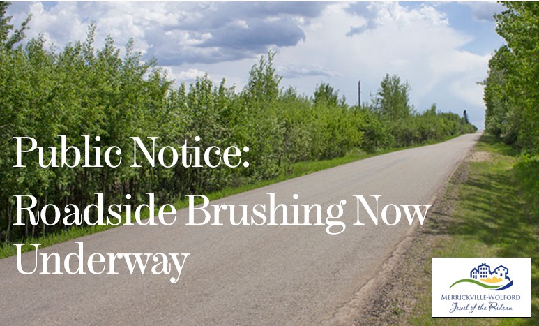 Brushing Underway 2026