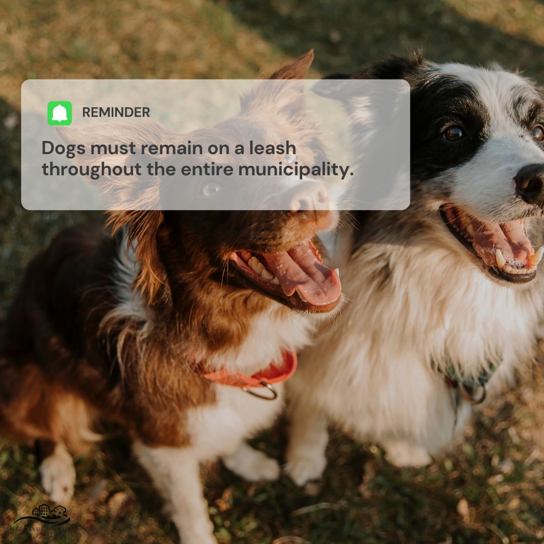 Dog Leash Post