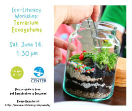 _Eco-Literacy Workshop Terrariums.jpg
