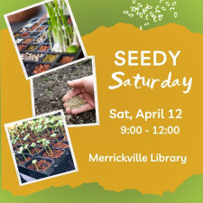 Seedy Saturday 2025 post.jpg